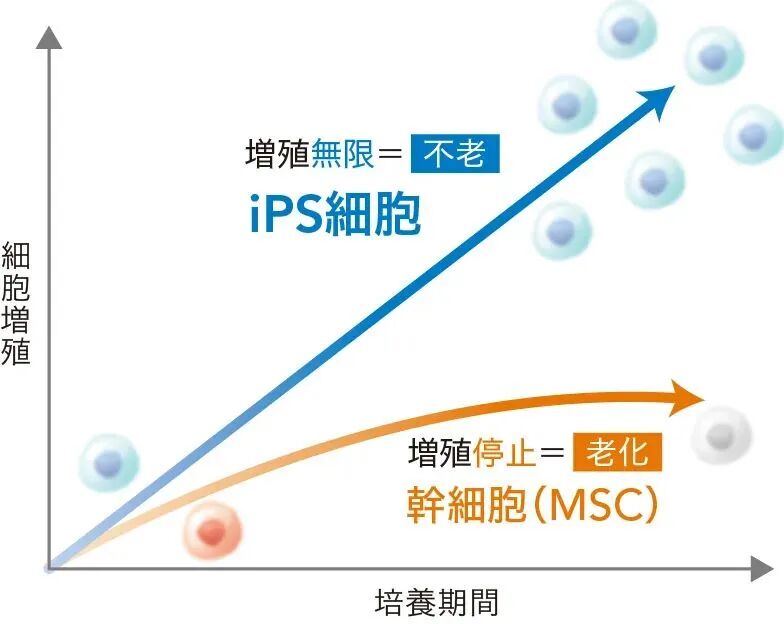 不止于长寿:我们追求的,是您高光时刻的无限延长