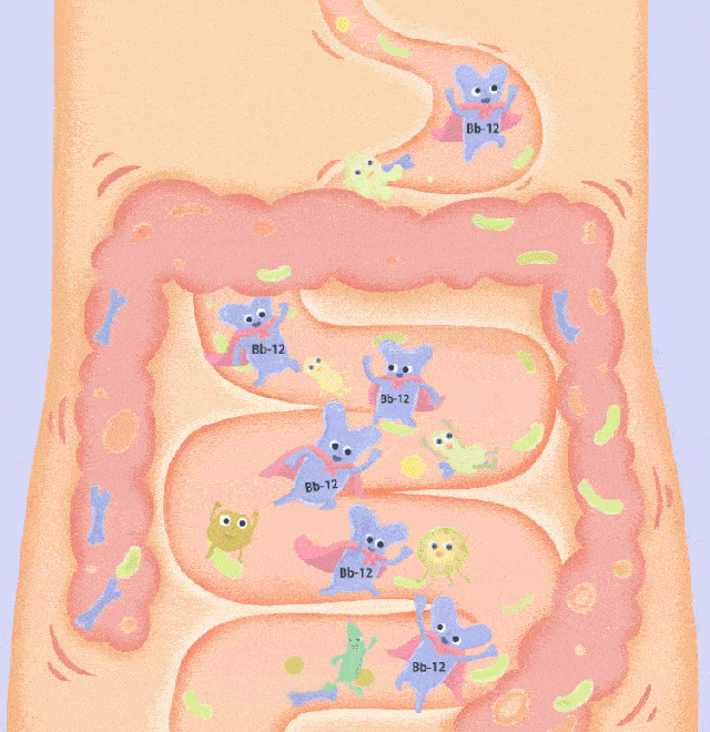 藏在肠道里的美貌:为什么你的皮肤光泽,始于消化健康
