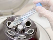 中国科学家发现基因活性调控新机制 为癌症提供