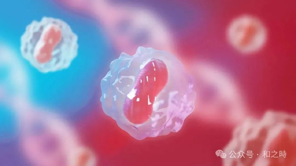 抗衰老新纪元？和之时深度揭秘日本干细胞