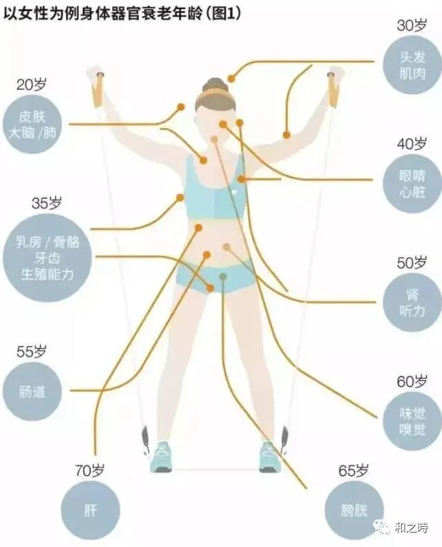 逆龄重启免疫，攻克癌症竟要实现？