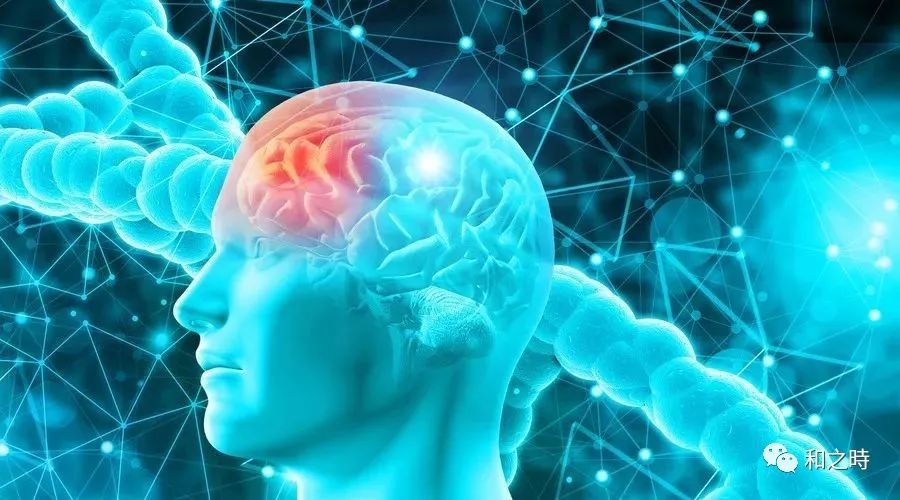 干细胞让你的内脏重返青春！