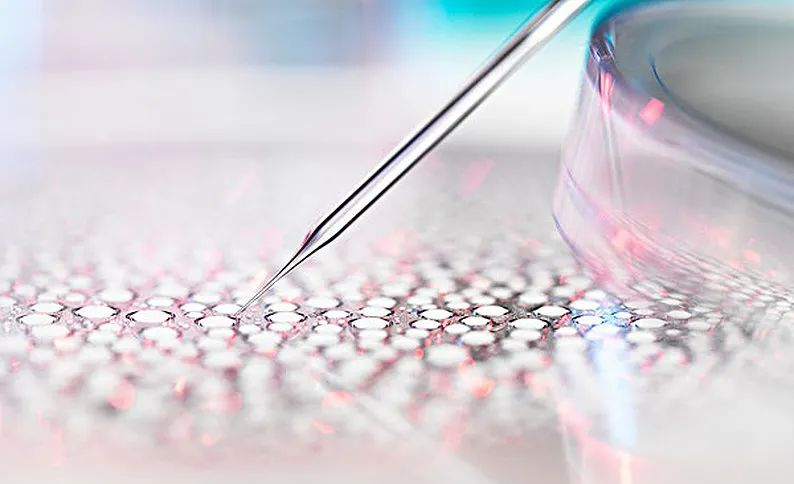 NMN的副作用与安全性：日本制造标准与纯度检测报告解读——如何避开重金属与细菌污染？