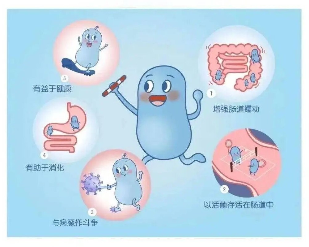 皮肤是外露的大脑：和之时解读“脑-肠-皮轴”，为何顶级抗衰要先修心？