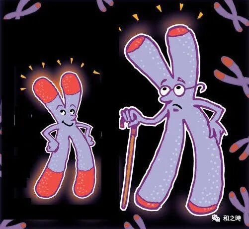 满脸爆痘、脾气暴躁？这不是青春期的“标配”，是身体缺营养发出的警报