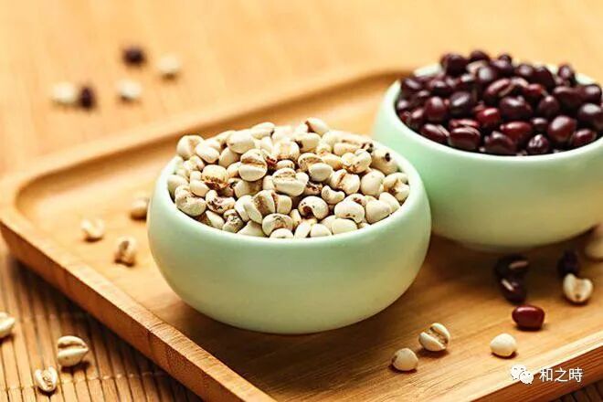 心情不好是因为肠子脏？和之时揭秘：日本“肠脑轴（Gut-Brain Axis）”与幸福荷尔蒙的工厂