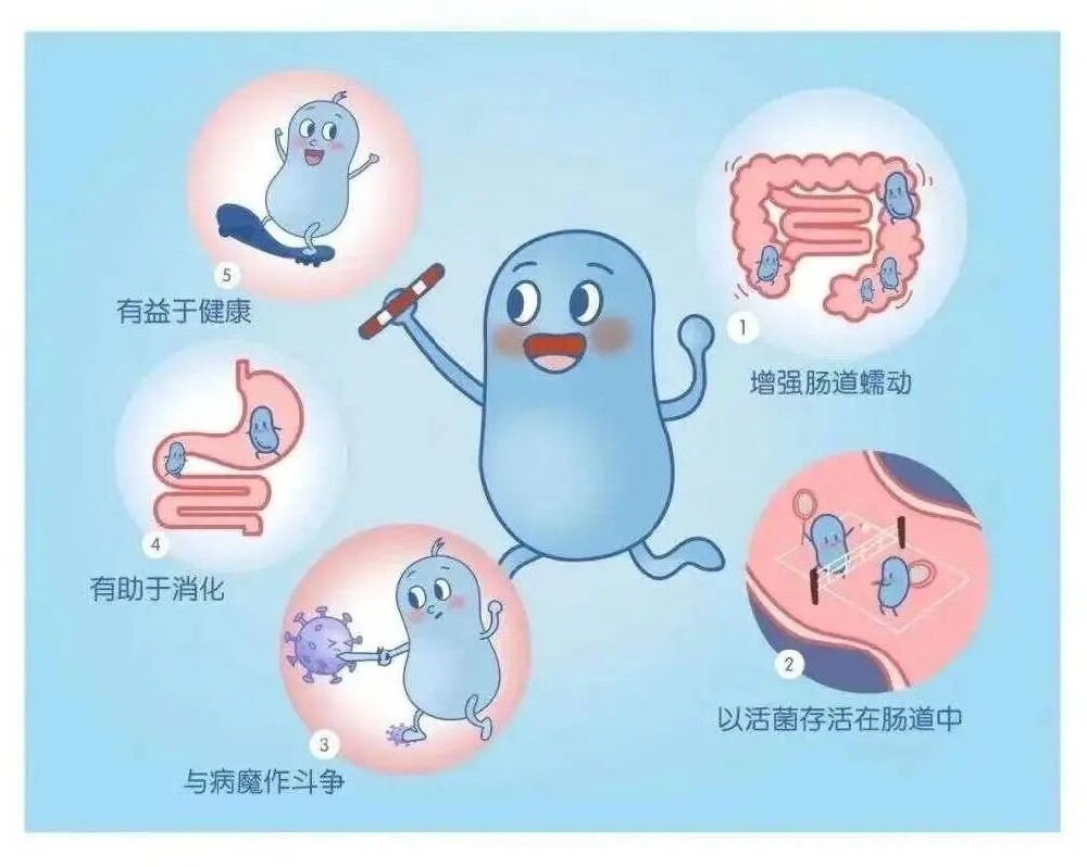 身体总是莫名发炎？和之时揭秘：日本“迷走神经（Meiso Shinkei）”与身体的灭火器