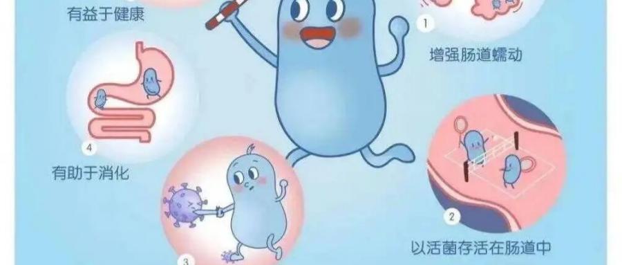 和之时：青春期爆痘脾气差？根源在营养