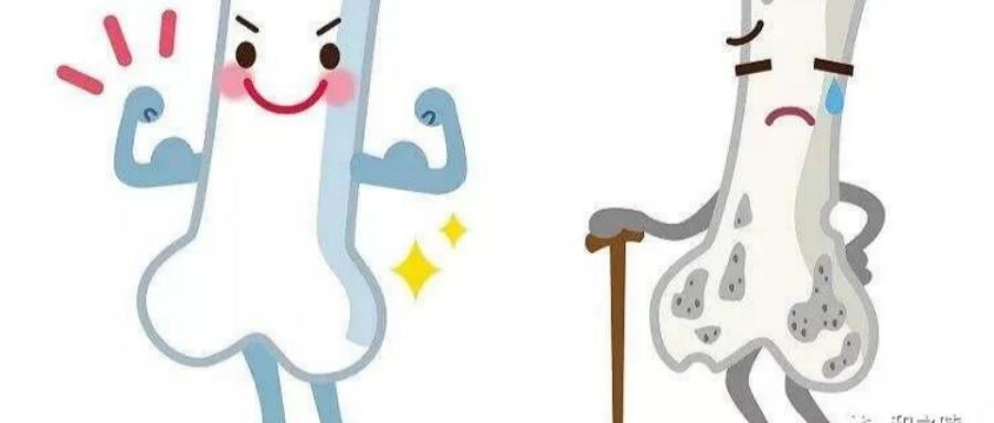 和之时：骨骺线未闭？孩子还能长高