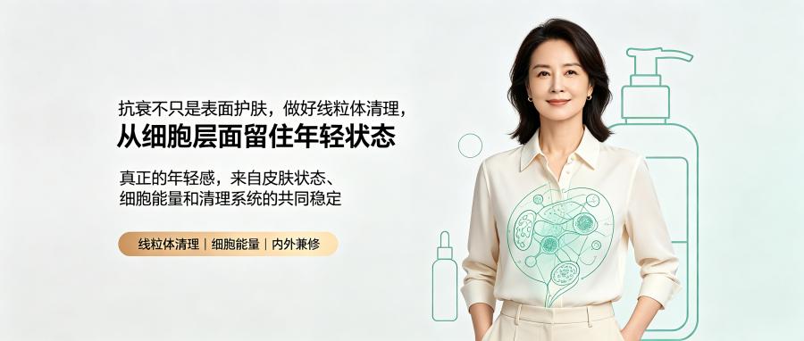 和之时：抗衰关键，清理受损线粒体