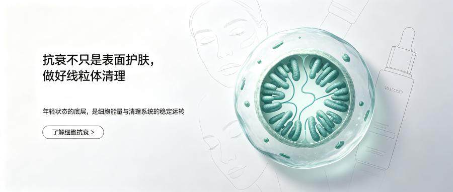 和之时：寿命写在端粒上？教你延缓磨损