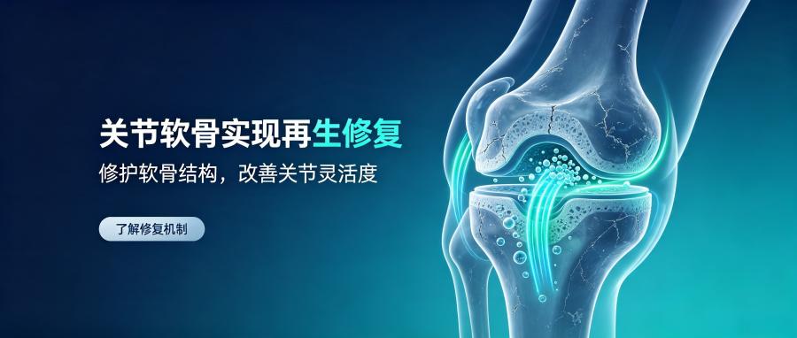 和之时:软骨磨损不可逆?真相扎心了