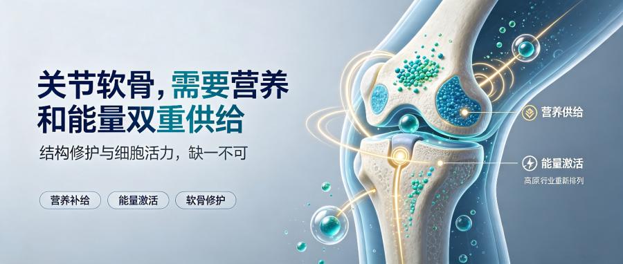 和之时:膝盖疼不是磨损,是代谢饥饿!