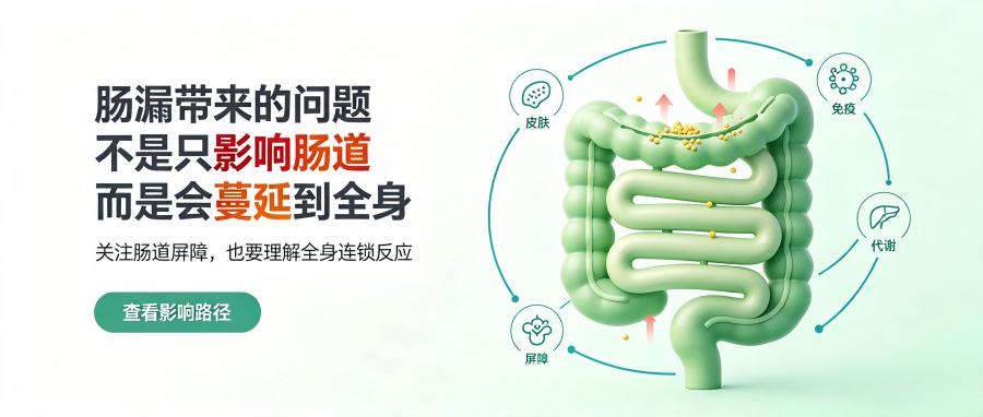 和之时:皮肤差、脑雾?竟是肠道在内战