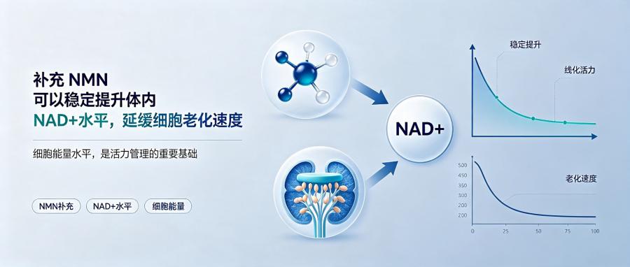 和之时：NMN抗衰真相揭秘，别被传言误导