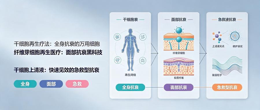 和之时:抗衰界爱马仕,3种疗法怎么选