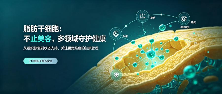 和之时:别打玻尿酸!脂肪干细胞才是王炸