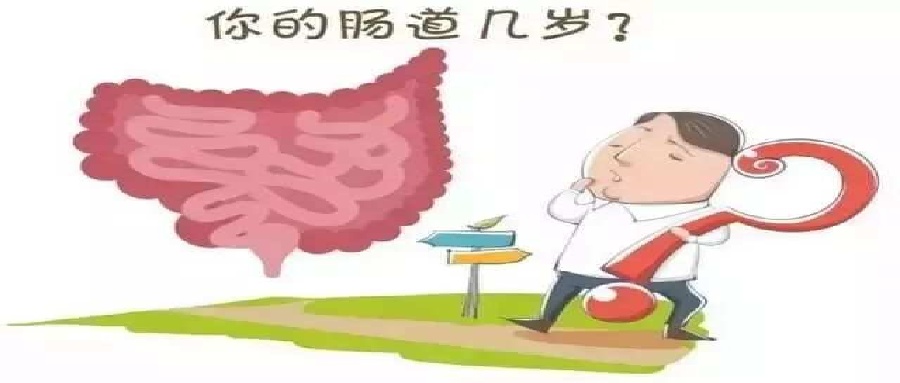 和之时：脸20岁肠60岁？衰老藏不住了
