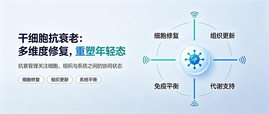 和之时:干细胞抗衰,要长寿更要无疾而终
