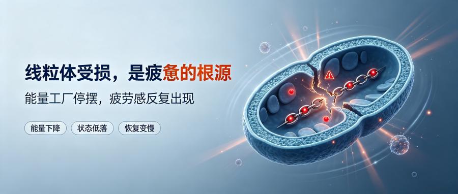 和之时:心脏查无异常,却痛得不敢睡?